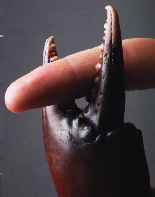 Illustration for article titled Images You Should Not Masturbate To